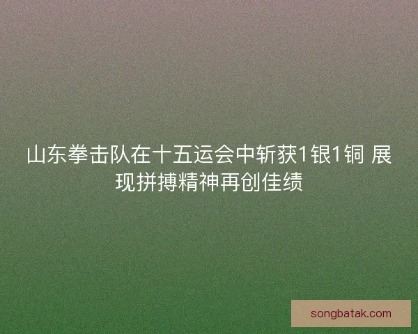 山东拳击队在十五运会中斩获1银1铜 展现拼搏精神再创佳绩