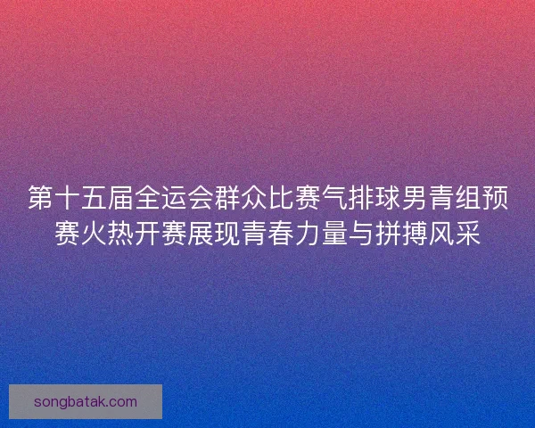 第十五届全运会群众比赛气排球男青组预赛火热开赛展现青春力量与拼搏风采